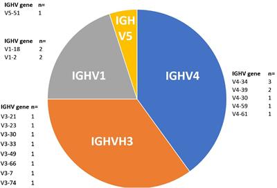 Spotlight on borderline-IGHV mutational status in chronic lymphocytic leukemia